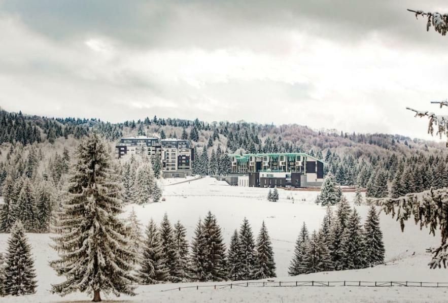 Charming 3-Bedroom Apartment Poiana Brasov Exteriör bild